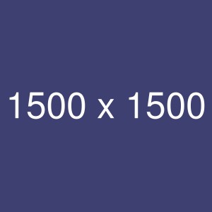 1500_1500